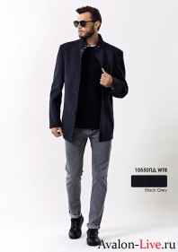 Мужское демисезонное пальто 10550ПД WT8