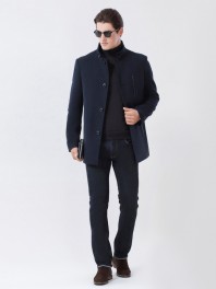 Мужское демисезонное пальто 10550ПД WT14